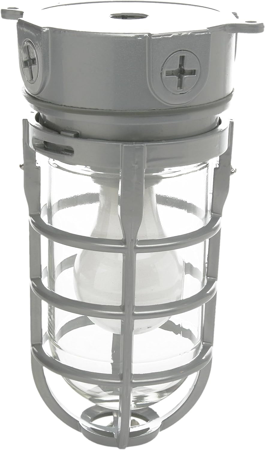 L1706 Vandal Resistant Security Light with Ceiling Mount (150W Incandescent Bulb; Silver)