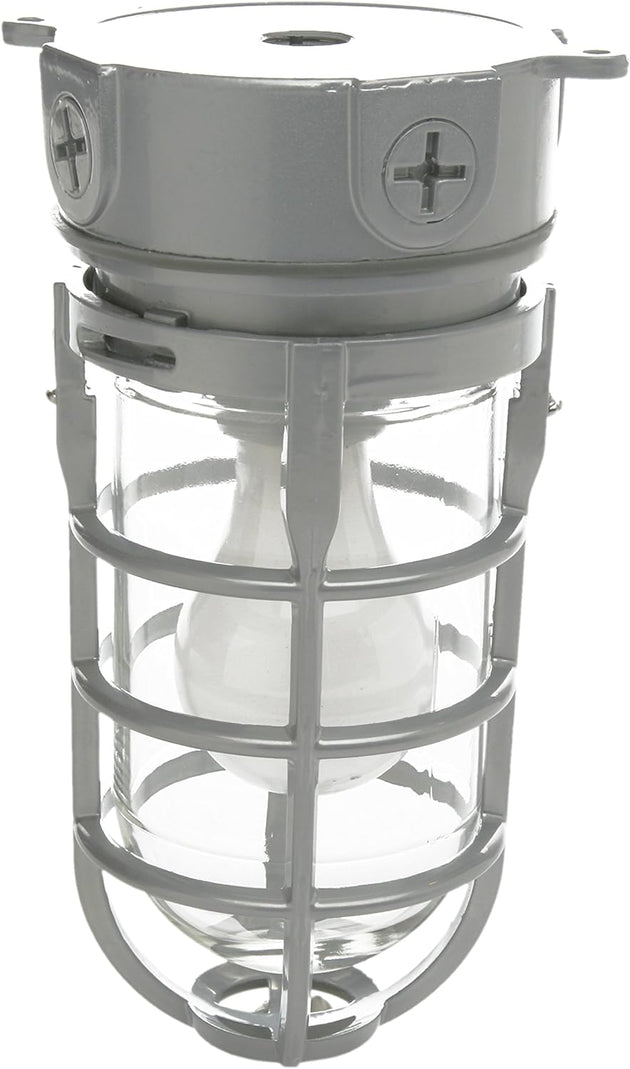 L1706 Vandal Resistant Security Light with Ceiling Mount (150W Incandescent Bulb; Silver)
