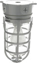 L1706 Vandal Resistant Security Light with Ceiling Mount (150W Incandescent Bulb; Silver)