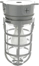 L1706 Vandal Resistant Security Light with Ceiling Mount (150W Incandescent Bulb; Silver)
