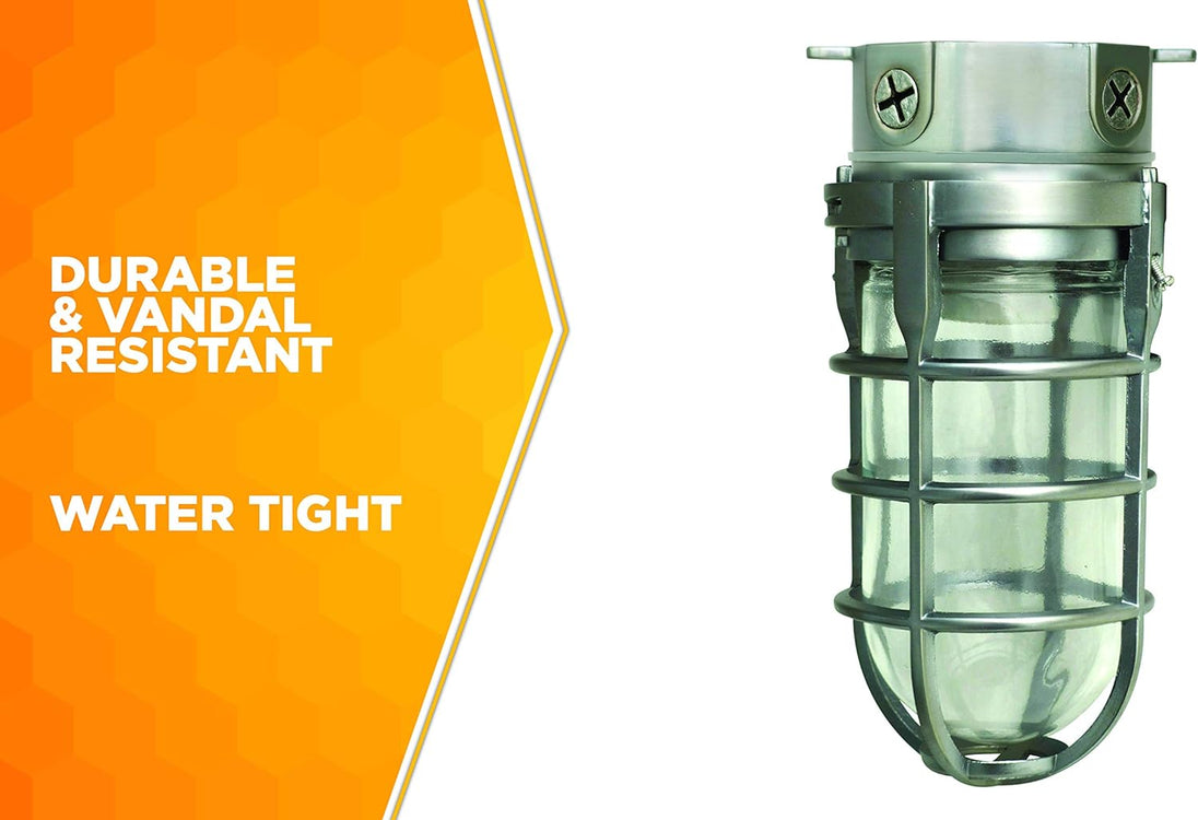 L1706 Vandal Resistant Security Light with Ceiling Mount (150W Incandescent Bulb; Silver)