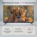 SANSUI 32 Inch HD Smart TV with Webos 5.0 720P LED Television with Music Card App & Game Optimizer
